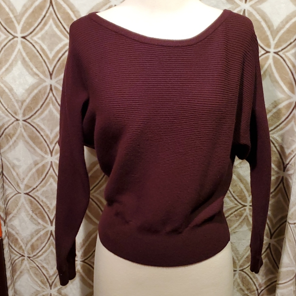 Express Purple Pullover Sweater Small